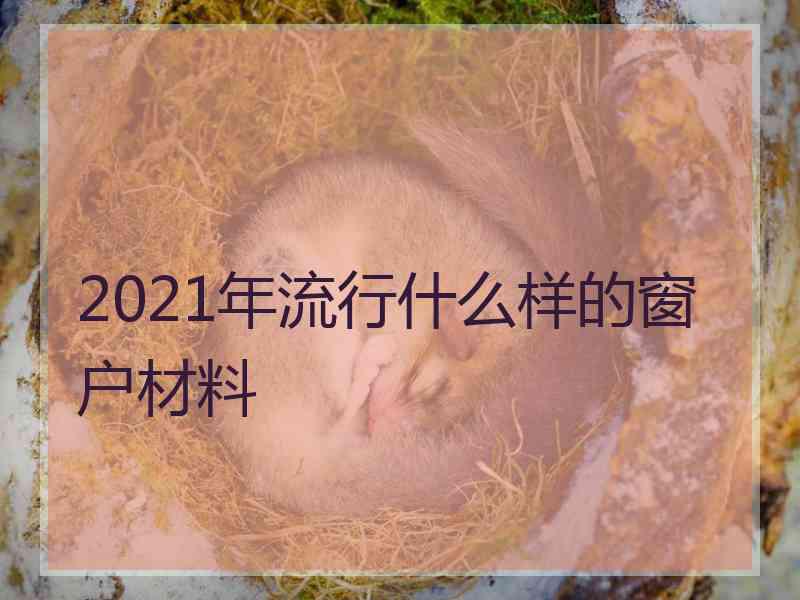 2021年流行什么样的窗户材料