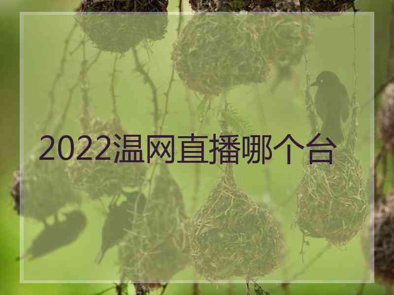 2022温网直播哪个台