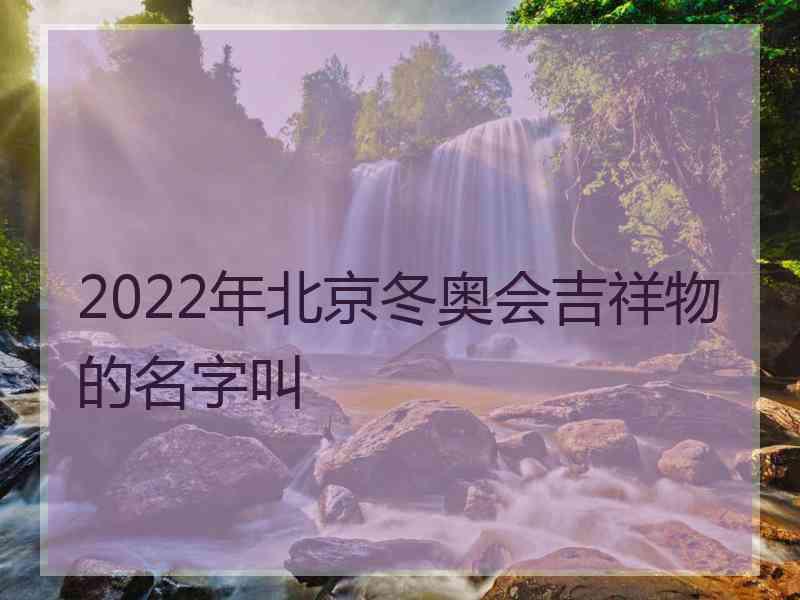 2022年北京冬奥会吉祥物的名字叫