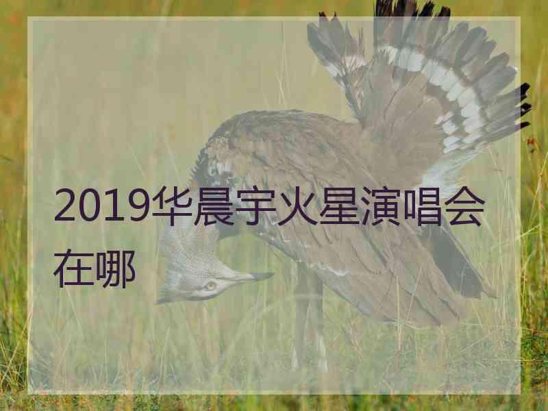 2019华晨宇火星演唱会在哪