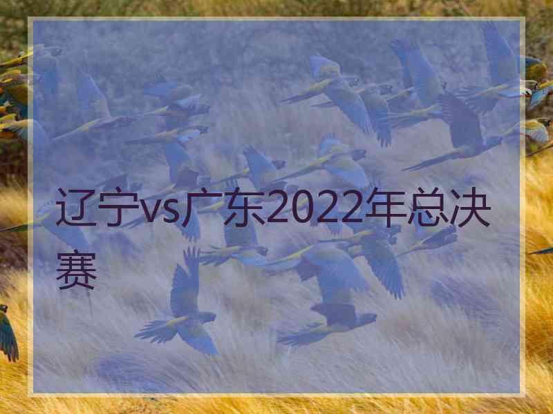 辽宁vs广东2022年总决赛