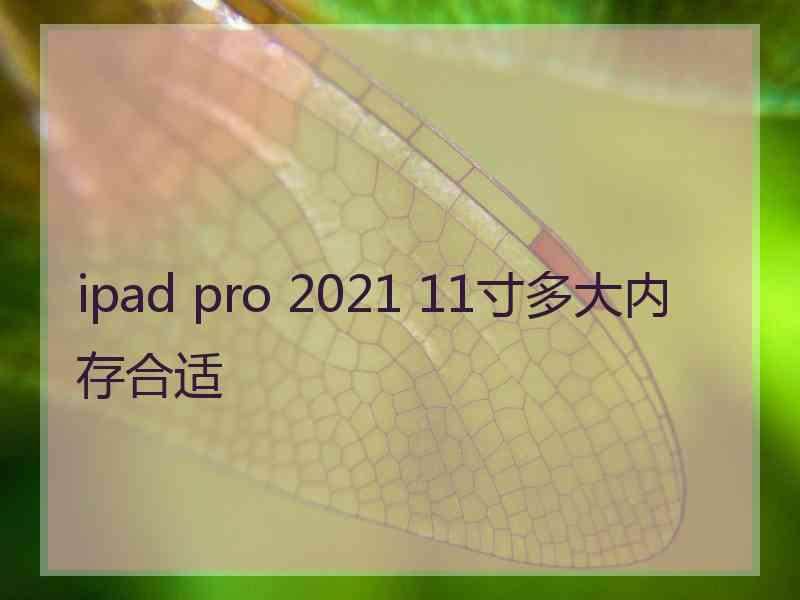 ipad pro 2021 11寸多大内存合适