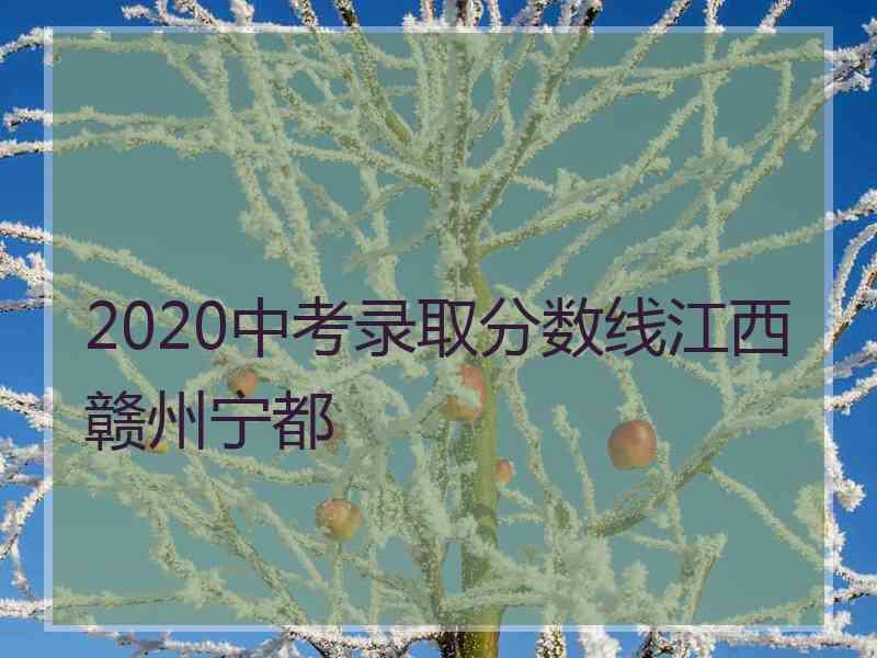 2020中考录取分数线江西赣州宁都