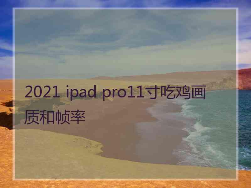 2021 ipad pro11寸吃鸡画质和帧率