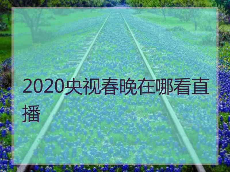 2020央视春晚在哪看直播