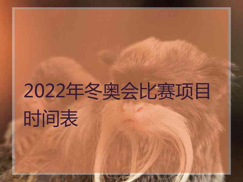 2022年冬奥会比赛项目时间表