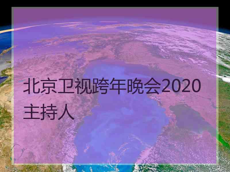 北京卫视跨年晚会2020主持人