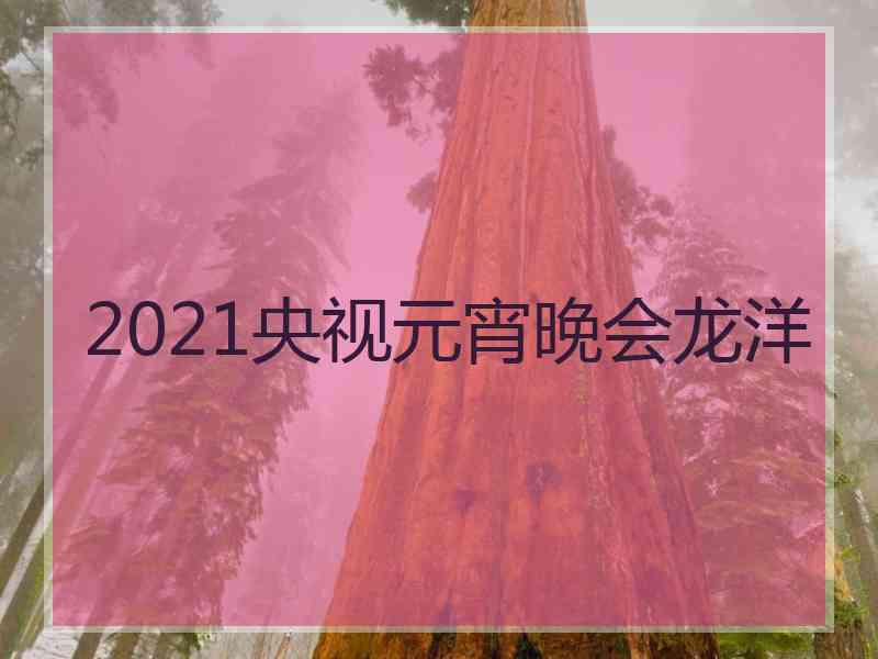 2021央视元宵晚会龙洋