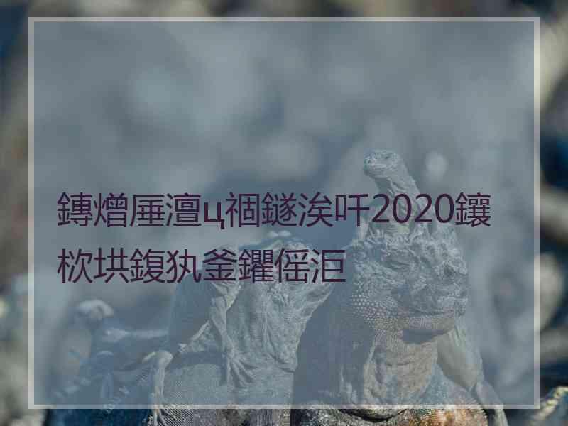 鏄熷厜澶ц祻鐩涘吀2020鑲栨垬鍑犱釜鑺傜洰