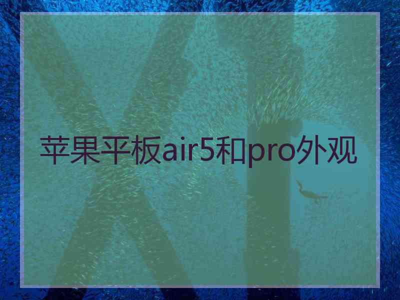 苹果平板air5和pro外观