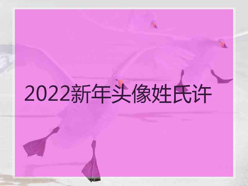 2022新年头像姓氏许