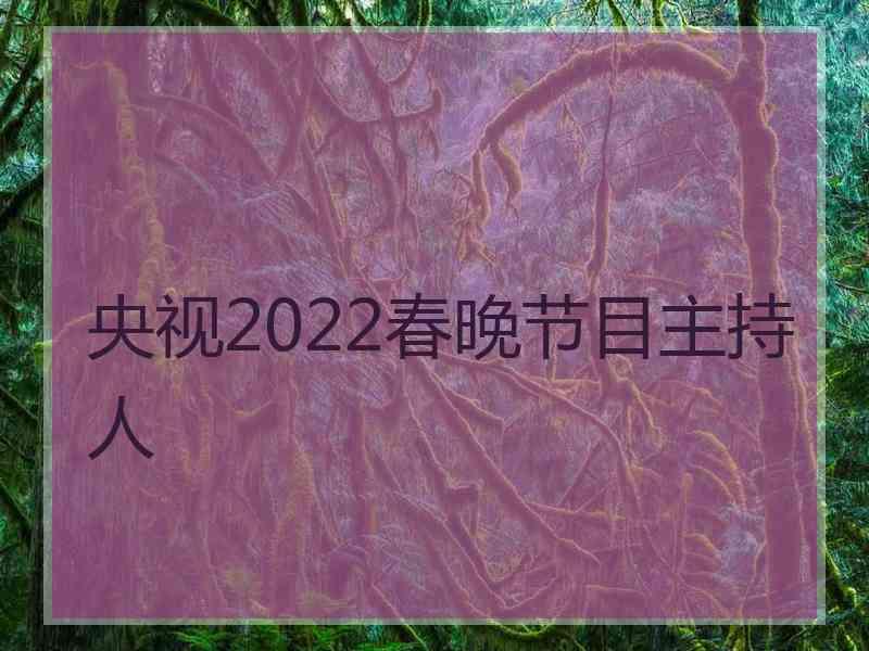 央视2022春晚节目主持人