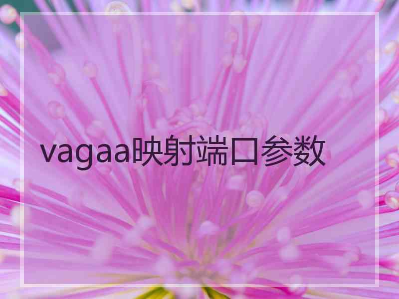 vagaa映射端口参数