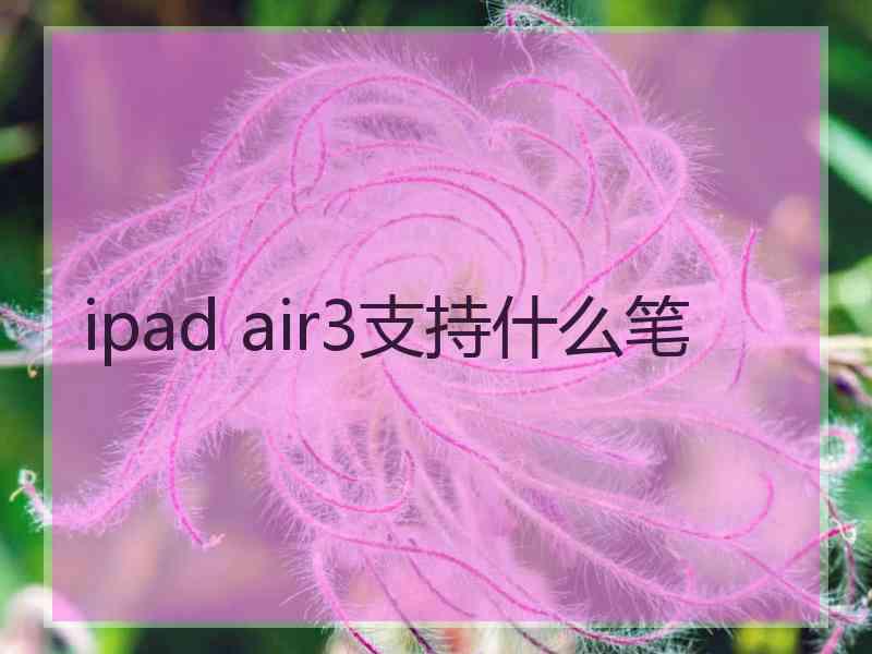 ipad air3支持什么笔