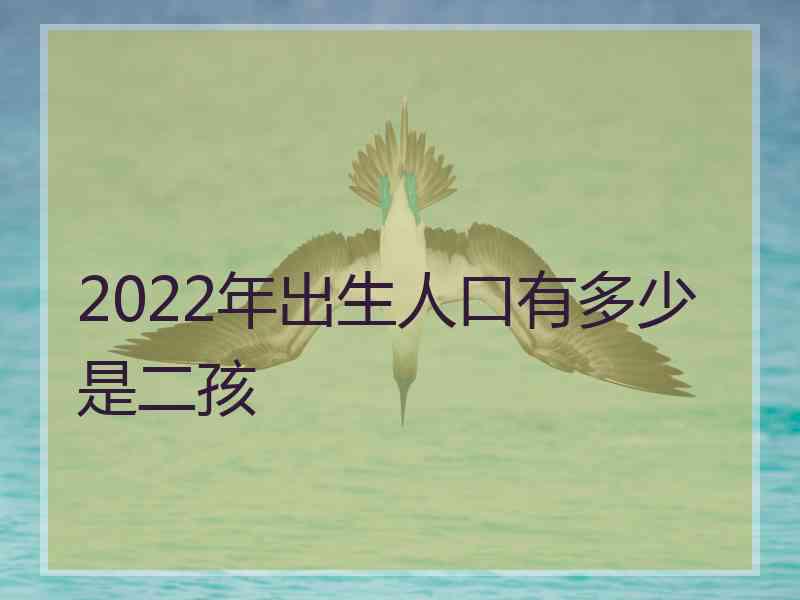 2022年出生人口有多少是二孩