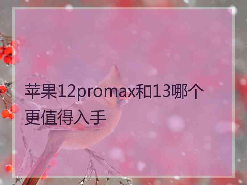 苹果12promax和13哪个更值得入手