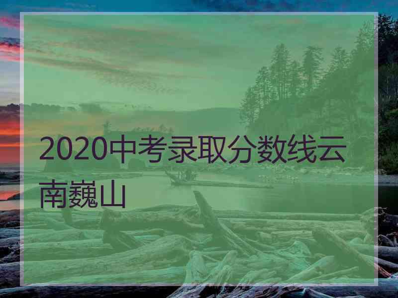 2020中考录取分数线云南巍山