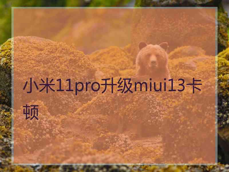 小米11pro升级miui13卡顿