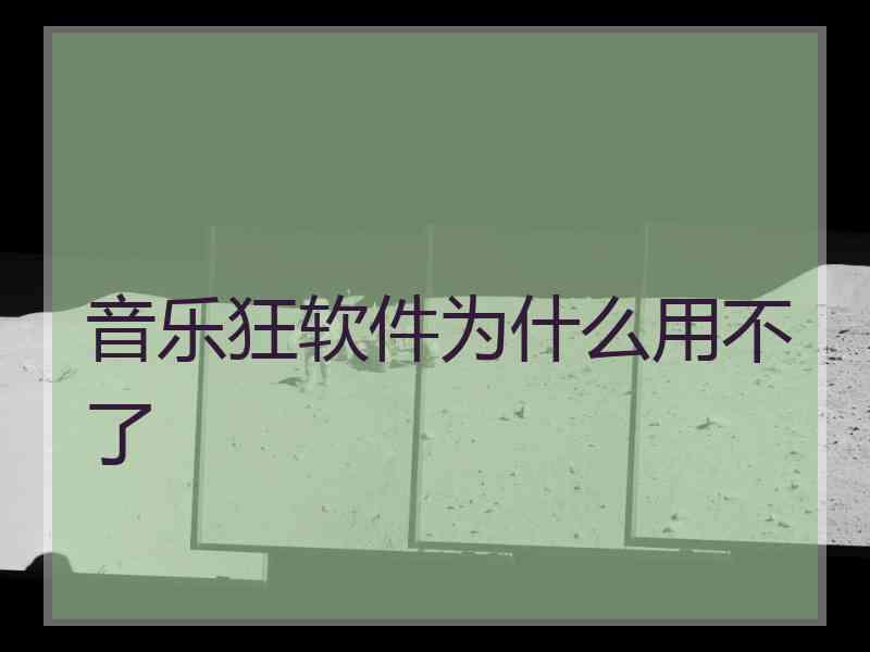 音乐狂软件为什么用不了