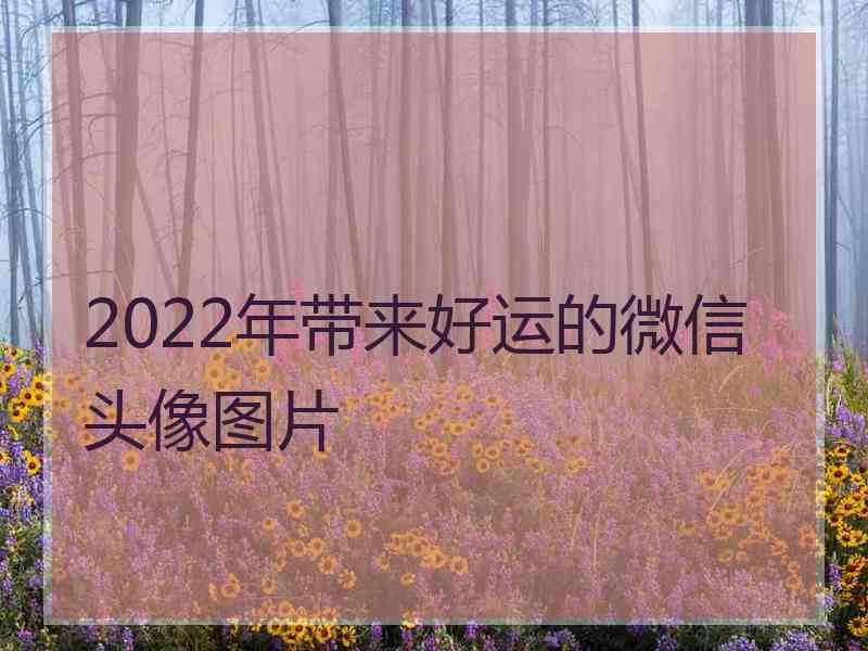 2022年带来好运的微信头像图片