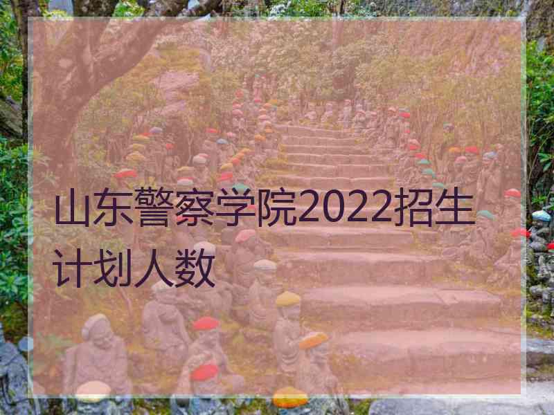 山东警察学院2022招生计划人数