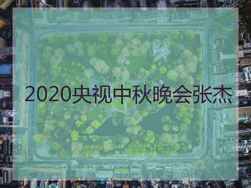 2020央视中秋晚会张杰