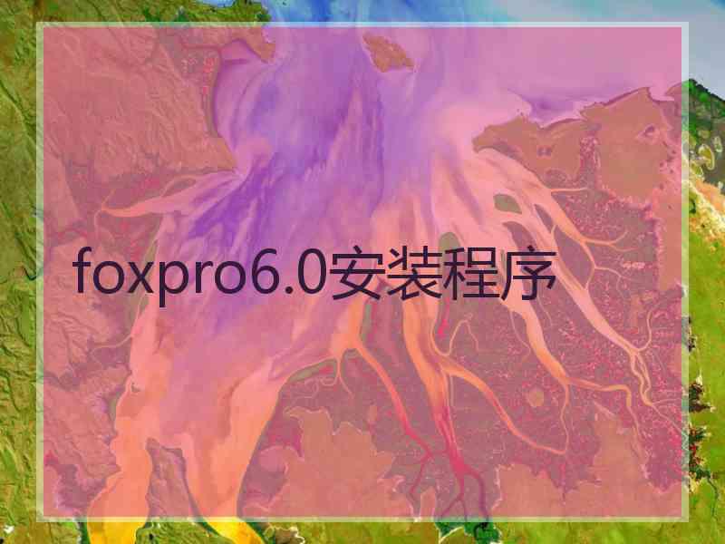 foxpro6.0安装程序