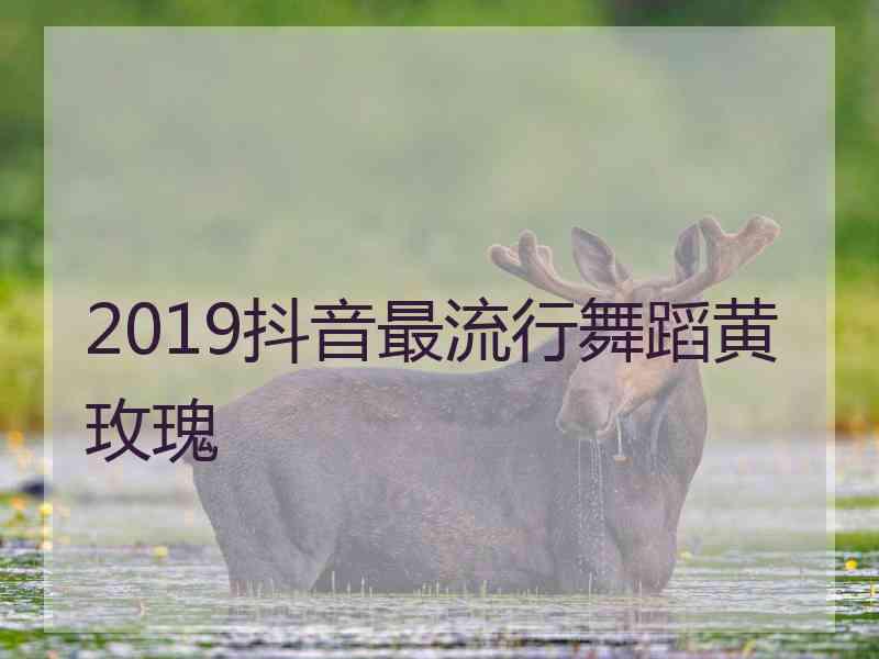 2019抖音最流行舞蹈黄玫瑰