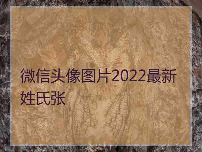 微信头像图片2022最新姓氏张