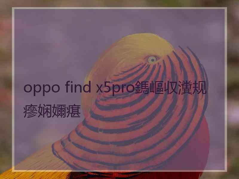 oppo find x5pro鎷嶇収瀵规瘮娴嬭瘎