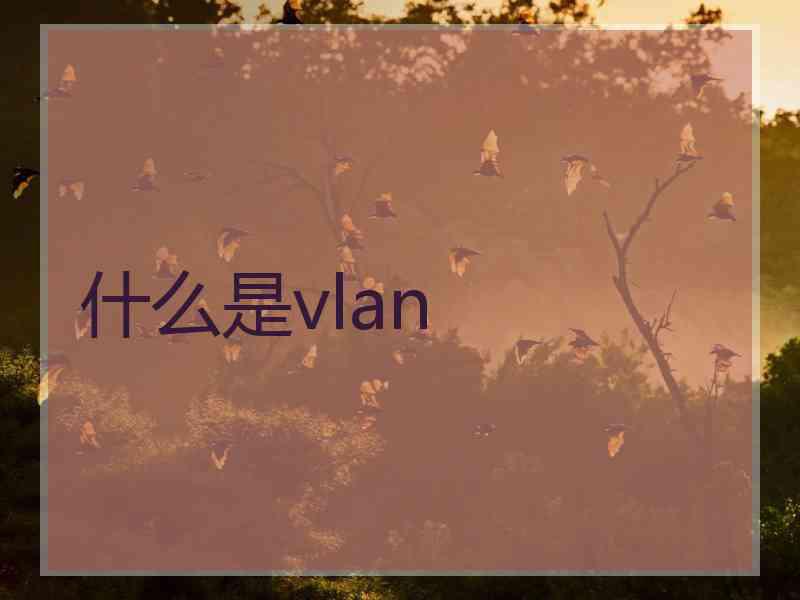 什么是vlan