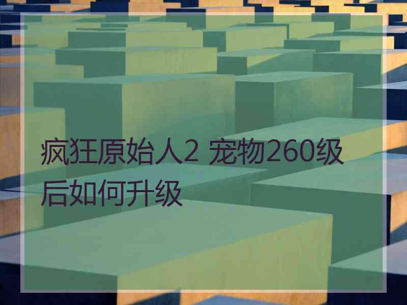 疯狂原始人2 宠物260级后如何升级