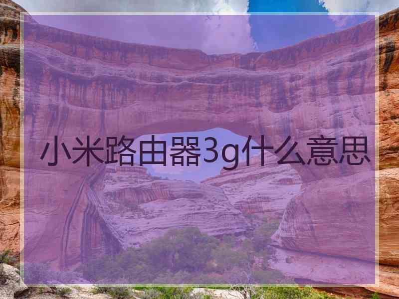 小米路由器3g什么意思