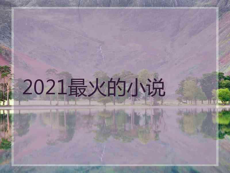 2021最火的小说