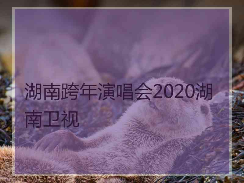 湖南跨年演唱会2020湖南卫视