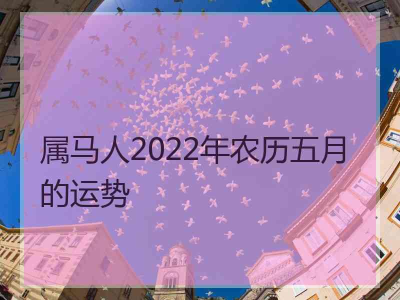 属马人2022年农历五月的运势