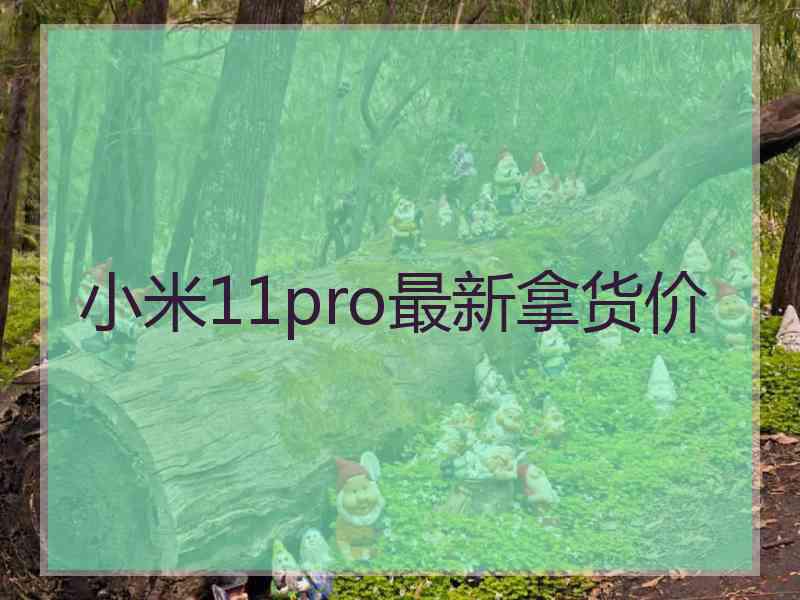 小米11pro最新拿货价