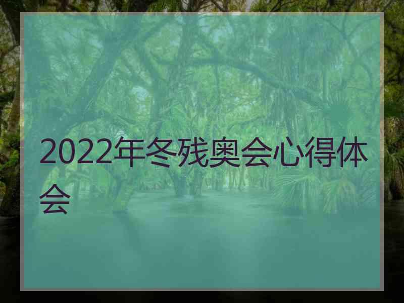 2022年冬残奥会心得体会