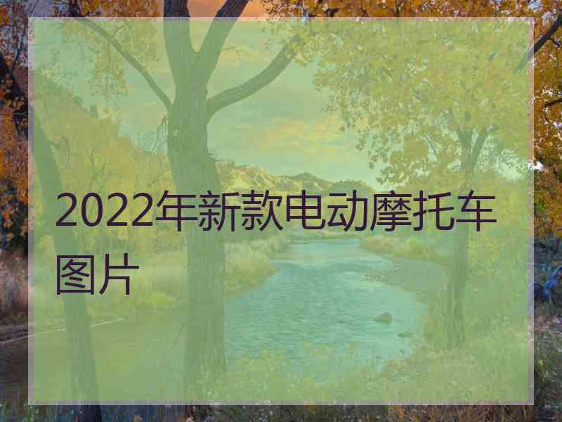 2022年新款电动摩托车图片