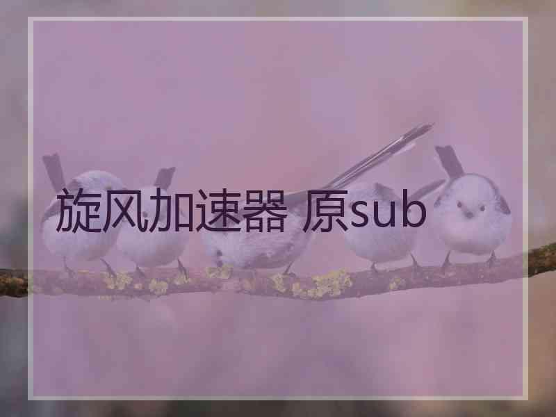 旋风加速器 原sub