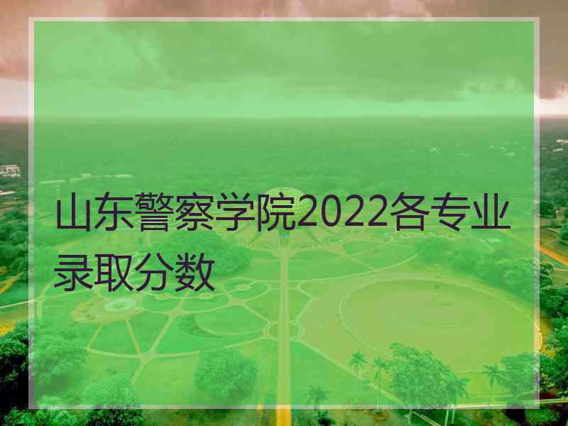 山东警察学院2022各专业录取分数