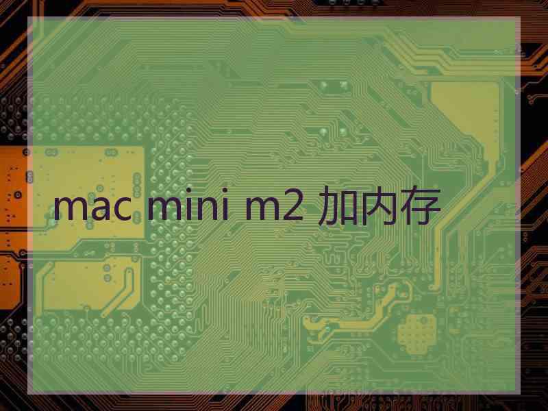 mac mini m2 加内存