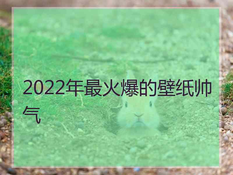 2022年最火爆的壁纸帅气