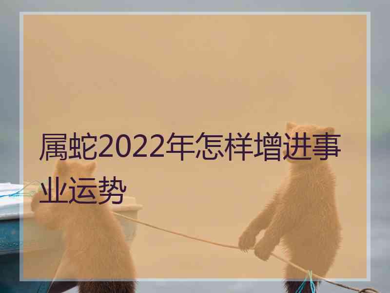 属蛇2022年怎样增进事业运势