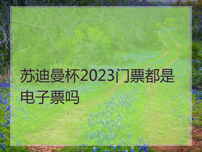 苏迪曼杯2023门票都是电子票吗