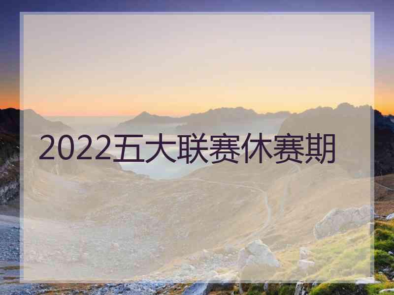 2022五大联赛休赛期