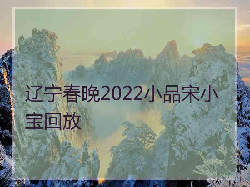 辽宁春晚2022小品宋小宝回放