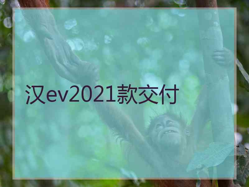 汉ev2021款交付