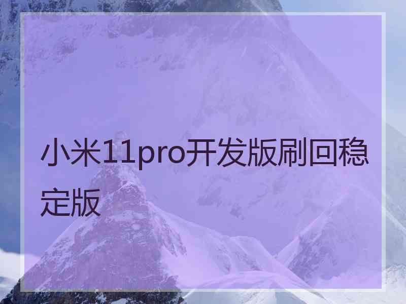 小米11pro开发版刷回稳定版