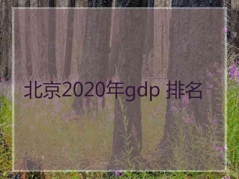 北京2020年gdp 排名